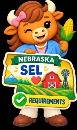Illustration representing Nebraska SEL requirements for elementary schools